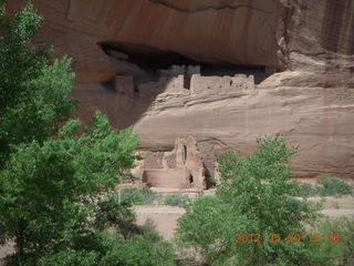 Canyon de Chelly tour - flowers