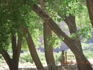 Canyon de Chelly tour