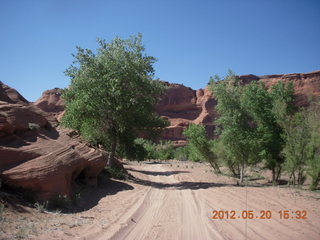 Canyon de Chelly tour - stumps