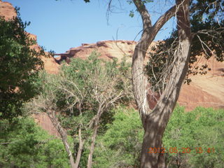 Canyon de Chelly tour