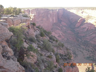 Canyon de Chelly tour - horses