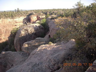 Canyon de Chelly tour - cottonwood sports