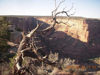 Spider Rock viewpoint