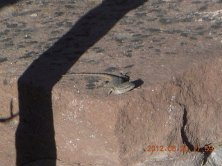 Spider Rock viewpoint