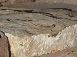 Spider Rock viewpoint