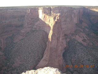 Spider Rock viewpoint - lizard