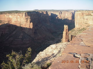 Spider Rock viewpoint - lizard