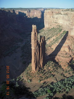 Spider Rock viewpoint - lizard