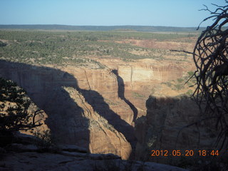 Dana at Spider Rock viewpoint