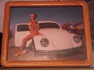 model VW beetle at Doug's Bugs