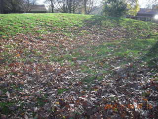 Holmdel park, Shore AC XC cross-country