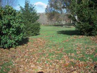 Holmdel park, Shore AC XC cross-country