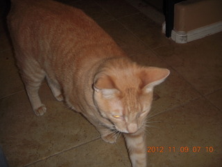 pianist poster for Kirill Gerstein