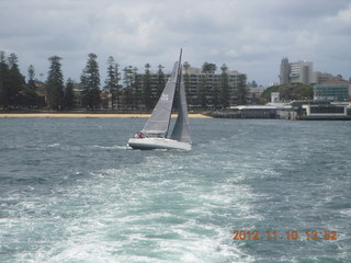 Sydney Harbour - ferry ride - sailboat