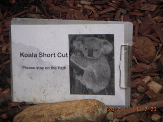 Cairns - ZOOm at casino - koala sign