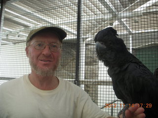 Cairns - ZOOm at casino - black cockatoo - Adam