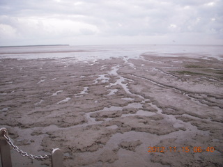 Cairns run - mud at low tide