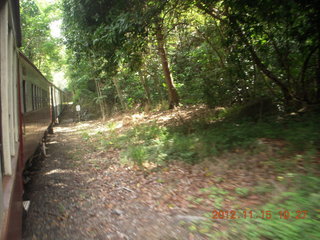 Kurunda rain forest tour - scenic railway - Jeremy C