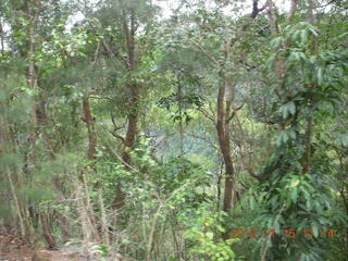 103 83f. Kurunda rain forest tour - scenic railway