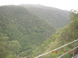 Kurunda rain forest tour - scenic railway
