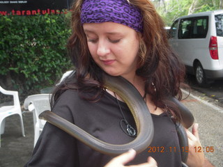 Kurunda rain forest tour - Venom Zoo snake