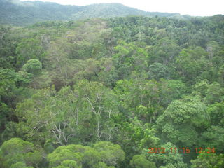 169 83f. rain forest tour - Skyrail