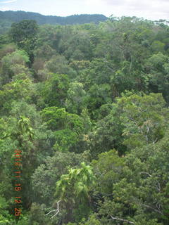173 83f. rain forest tour - Skyrail