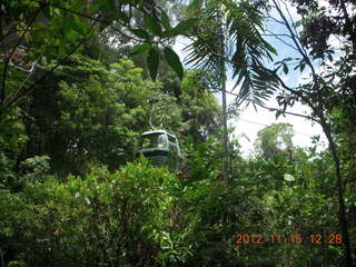 rain forest tour - Skyrail