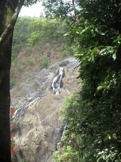 rain forest tour - Skyrail stop 1 - Barron Falls