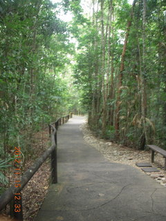 rain forest tour - Skyrail stop 1