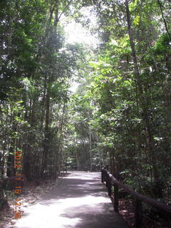 206 83f. rain forest tour - Skyrail stop 1