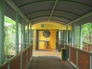 rain forest tour - Skyrail stop 1 museum