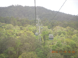 224 83f. rain forest tour - Skyrail