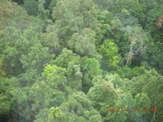 rain forest tour - Skyrail POMA (backwards)