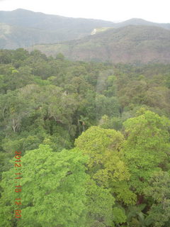 241 83f. rain forest tour - Skyrail