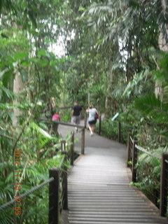 rain forest tour - Skyrail stop 2 sign