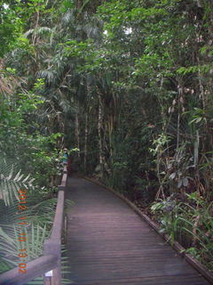 277 83f. rain forest tour - Skyrail stop 2