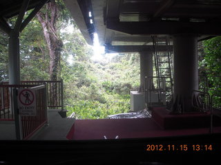 rain forest tour - Skyrail stop 2