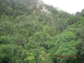 rain forest tour - Skyrail stop 2 - Adam