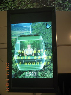 rain forest tour - Skyrail final stop - picture of Adam