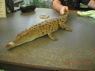 Hartley's Crocodile Adventures - crocodile to hold