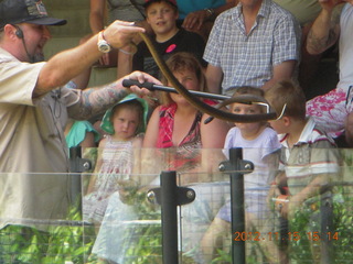 Hartley's Crocodile Adventures - snake show
