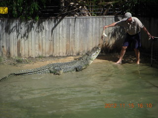 Hartley's Crocodile Adventures - crocodile show
