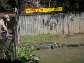 Hartley's Crocodile Adventures - crocodile show