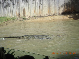 412 83f. Hartley's Crocodile Adventures - crocodile show
