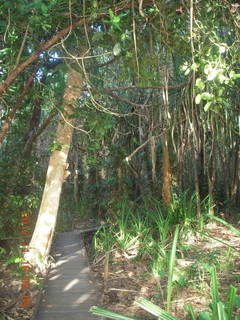 89 83g. Cairns, Australia run - Cairns Botanical Garden - boardwalk