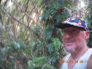 Cairns, Australia run - Cairns Botanical Garden - boardwalk - Adam