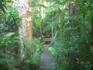 114 83g. Cairns, Australia run - Cairns Botanical Garden - boardwalk