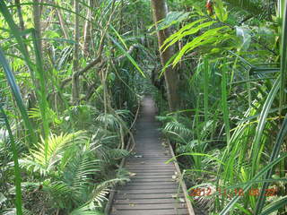 122 83g. Cairns, Australia run - Cairns Botanical Garden - boardwalk