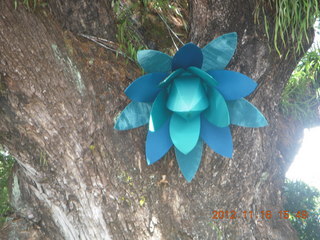 164 83g. Cairns, Australia - lanterns hanging from trees